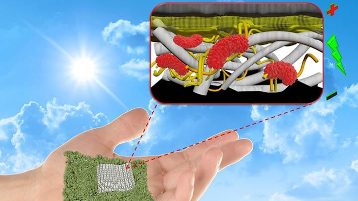 Researchers at Binghamton University, State University at New York have created a biodegradable, paper-based battery that is more efficient than previously possible.