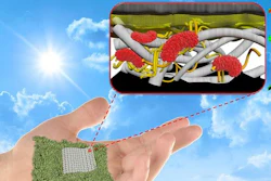 Researchers at Binghamton University, State University at New York have created a biodegradable, paper-based battery that is more efficient than previously possible.