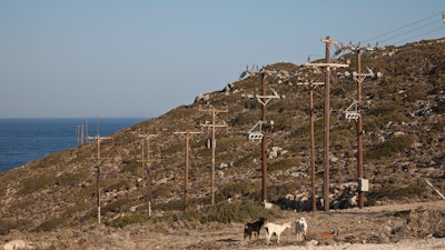 In this Thursday , Aug. 9, 2018, photo goats stand in front of electric poles on the Aegean island of Tilos, Greece.
