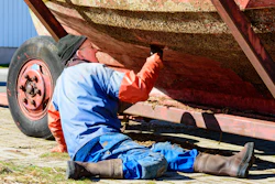 Barnacle Istock