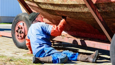 Barnacle Istock