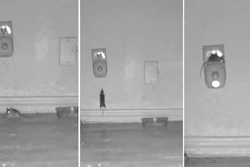 This photo of three images taken from October 2017 video produced by Sierra Research Laboratories shows mice congregated around and climbing on a device that was supposed to scare them away.