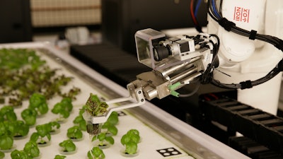 In this Thursday, Sept. 27, 2018, photo a robotic arm lifts plants being grown at Iron Ox, a robotic indoor farm, in San Carlos, Calif.