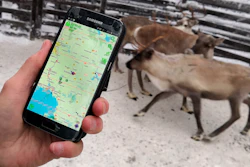 Reindeer herder Seppo Koivisto holds a smartphone, showing the mobile app used to locate reindeer, in Rovaniemi, Finland, Thursday Dec. 13 2018.