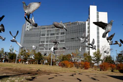 In this Dec. 25, 2018, file photo, pigeons fly near Tokyo Detention Center, where former Nissan chairman Carlos Ghosn is being detained.