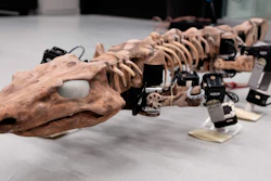 This undated photo provided by researchers in January 2019 shows the OroBOT, based on an Orobates Pabsti fossil.
