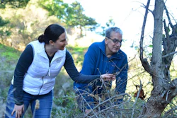 Intel’s Anna Bethke and Resolve’s Eric Dinerstein hide a TrailGuard AI camera system in a tree during a recent demonstration south of Monterey, Calif.