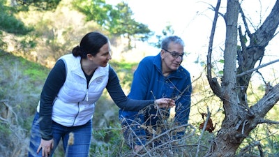 Intel’s Anna Bethke and Resolve’s Eric Dinerstein hide a TrailGuard AI camera system in a tree during a recent demonstration south of Monterey, Calif.