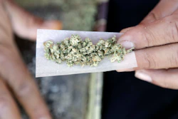 In this Nov. 9, 2016, file photo, a marijuana joint is rolled in San Francisco.