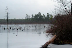 This Jan. 6, 2014, photo shows a section of the Pinelands region in Lakehurst N.J.