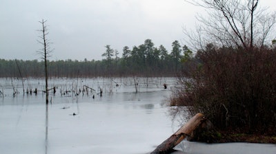This Jan. 6, 2014, photo shows a section of the Pinelands region in Lakehurst N.J.