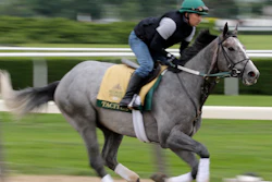 Exercise rider Joe Ramos rides Tacitus during workouts at Belmont Park in Elmont, N.Y., Wednesday, June 5, 2019.
