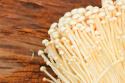 Mushrooms