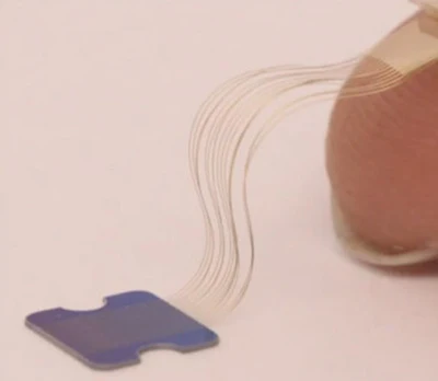 The size of the threads, attached to a fingertip for scale.