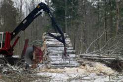 The researchers sampled reforested aspen stands located in Baraga, Delta, Dickinson and Menominee Counties that are owned and actively managed by Weyerhaeuser Company (formerly Plum Creek Timber Company) and for which a 40-year commercial logging record exists, providing the scientists with a data set to verify against field measurements.