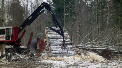 The researchers sampled reforested aspen stands located in Baraga, Delta, Dickinson and Menominee Counties that are owned and actively managed by Weyerhaeuser Company (formerly Plum Creek Timber Company) and for which a 40-year commercial logging record exists, providing the scientists with a data set to verify against field measurements.
