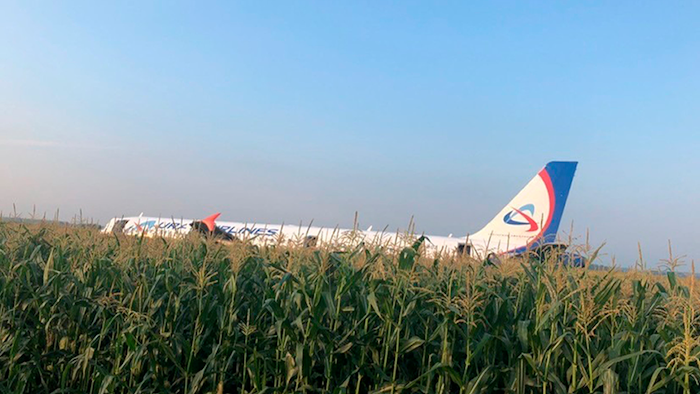 A Ural Airlines A321 plane after an emergency landing in a cornfield near Ramenskoye, Russia, Thursday, Aug. 15, 2019.