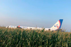 A Ural Airlines A321 plane after an emergency landing in a cornfield near Ramenskoye, Russia, Thursday, Aug. 15, 2019.