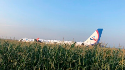 A Ural Airlines A321 plane after an emergency landing in a cornfield near Ramenskoye, Russia, Thursday, Aug. 15, 2019.