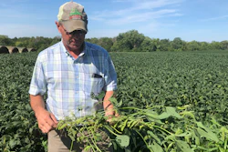 Randy Miller at his farm in Lacona, Iowa, Thursday, Aug. 22, 2019.