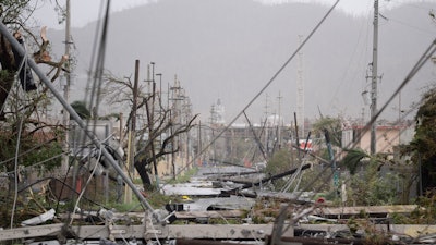 In this Sept. 20, 2017, file photo electricity poles and lines lay toppled on the road after Hurricane Maria hit the eastern region of the island, in Humacao, Puerto Rico. Despite the potential for hurricanes and other natural disasters, many small business owners don’t prepare for the worst, leaving them to learn during a crisis what they should have done differently.