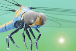 Researchers have created a bio-inspired compound eye that is helping scientists understand how insects sense an object and its trajectory with such speed. The compound eye could also be useful for 3D location systems for robots, self-driving cars and unmanned aerial vehicles.