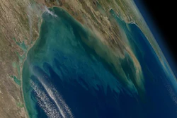 NASA's Geosynchronous Littoral Imaging and Monitoring Radiometer (GLIMR) instrument will collect high-resolution observations of coastal ecosystems in such areas as the northern Gulf of Mexico, shown in this image with phytoplankton blooms stretching from the Texas and Louisiana coast (left) across the Mississippi River delta (center) toward Florida (far right).