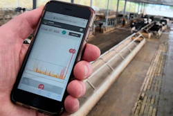 In this photo taken on Wednesday, Aug. 28, 2019, project manager Duncan Forbes holds a smartphone showing biometric data on his cows at Agri-EPI Centre, a dairy development center in Shepton Mallet, England. The bovine residents of the British agricultural technology research center are wearing next generation mobile technology aimed at helping make dairy farming more efficient.