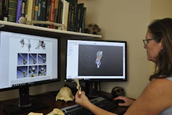 Carol Ward, a Curators Distinguished Professor of Pathology and Anatomical Sciences in the MU School of Medicine, and her team used new 3D modeling techniques to digitally complete the fossil's shape, then compared their models with modern animals.