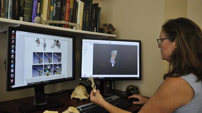 Carol Ward, a Curators Distinguished Professor of Pathology and Anatomical Sciences in the MU School of Medicine, and her team used new 3D modeling techniques to digitally complete the fossil's shape, then compared their models with modern animals.