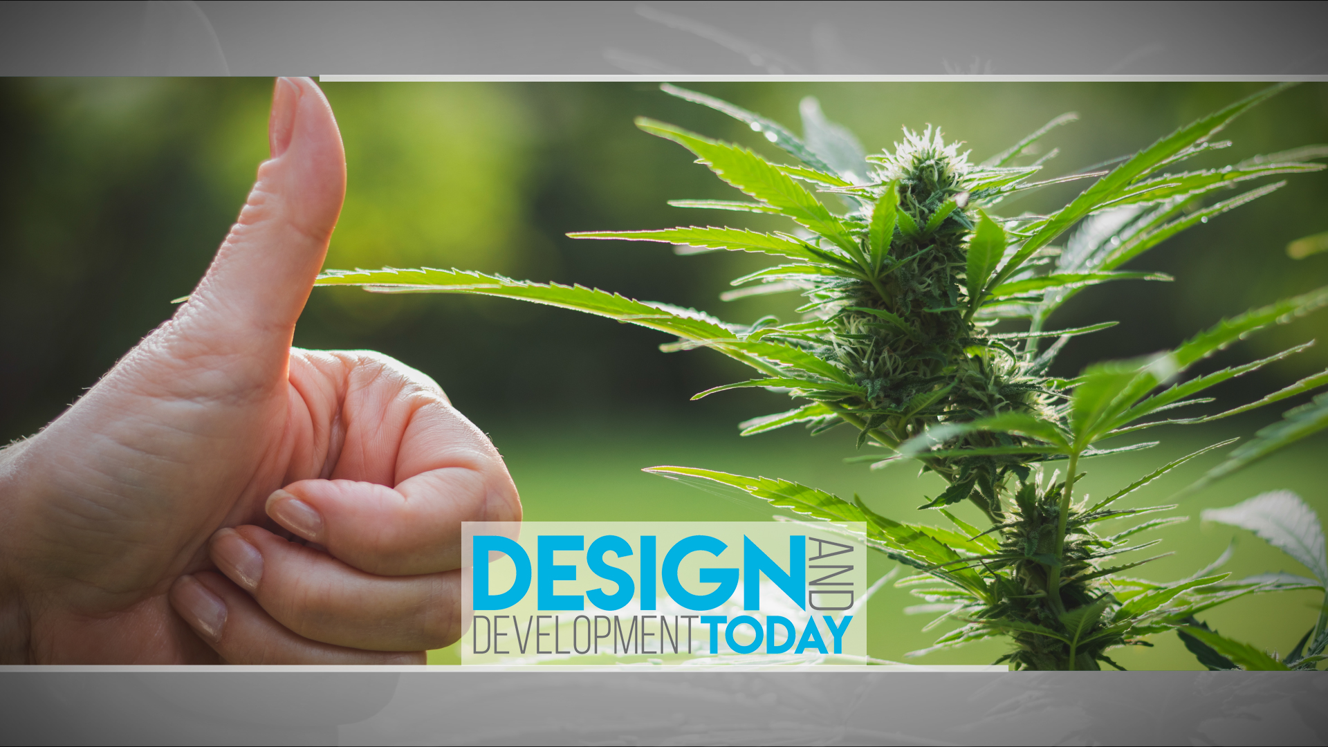 Weedtn