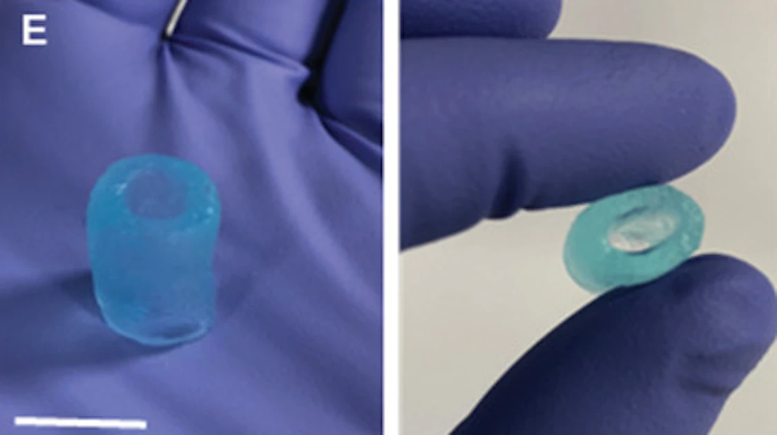 Biomaterial Indesign Researchers Create New 3D Printing Technique for Biomaterials | Design ...