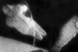 In this March 18, 1965, photo made from a television screen, Soviet cosmonaut Alexei Leonov, left, floats in space at the end of a lifeline during a twenty minute trip outside the Russian spacecraft Voskhod-2 during an orbital flight.