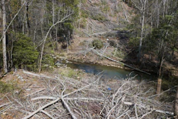 In this Thursday, May 3, 2018, photo, downed trees mark the route of the proposed Mountain Valley Pipeline in Lindside, W.Va.