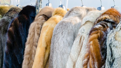 Fur