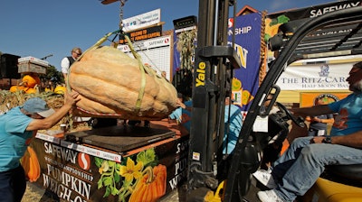 A massive pumpkin by Leonardo Urena of Napa, Calif., is lowered on a scale with a forklift on Monday, Oct. 14, 2019, in Half Moon Bay, Calif. The pumpkin weighed in at 2,175 lbs., a new California weight record.