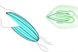 Xiaobo Bi and Qiang Zhu discuss their work developing an aquatic robot inspired by cephalopods. (Left) Envisioned squid-inspired robot that combines fin flapping and jetting for locomotion. (Right) Numerical simulations provide insights of the underlying physical mechanisms.