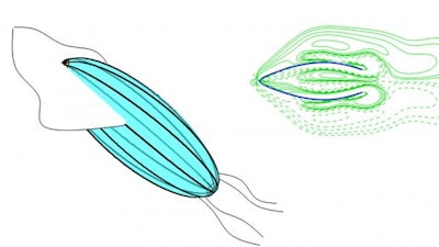 Xiaobo Bi and Qiang Zhu discuss their work developing an aquatic robot inspired by cephalopods. (Left) Envisioned squid-inspired robot that combines fin flapping and jetting for locomotion. (Right) Numerical simulations provide insights of the underlying physical mechanisms.