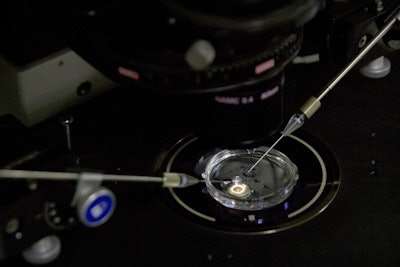 In this Oct. 9, 2018 file photo, an embryo receives a small dose of Cas9 protein and PCSK9 sgRNA in a microscope in a laboratory in Shenzhen in southern China's Guangdong province, during work by scientist He Jiankui's team.