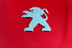 Peugeot logo on a car in Bayonne, France, Oct. 31, 2019.