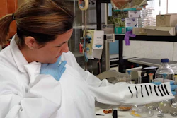 Researchers of the Faculty of Science of the University of Malaga (UMA) have designed a low-cost T-shirt that generates electricity from the temperature difference between the human body and the surroundings.