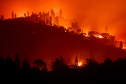 In this Nov. 10, 2018, file photo, the Camp Fire burns along a ridgetop near Big Bend, Calif.