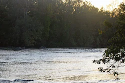 Yadkin River.