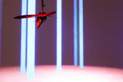 Experimental setup with a moth attached to a metal rod in a virtual forest scene.