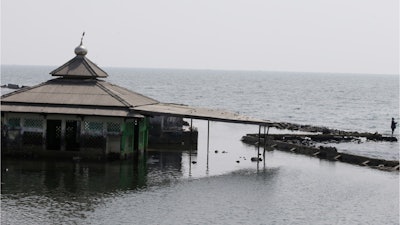 A man fishes near an abandoned mosque in Jakarta, July 27, 2019.