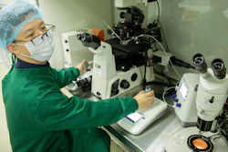 In this Oct. 9, 2018, photo, scientist Qin Jinzhou works with embryos in a laboratory in Shenzhen, China.