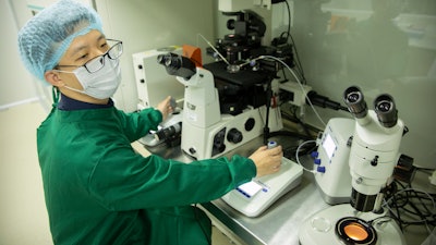 In this Oct. 9, 2018, photo, scientist Qin Jinzhou works with embryos in a laboratory in Shenzhen, China.