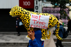 Farm workers and activists march along Reforma Avenue in Mexico City, Feb. 21, 2020.