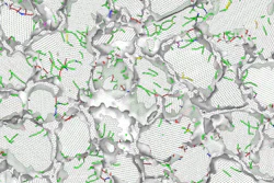 Zhou et al./University of Utah