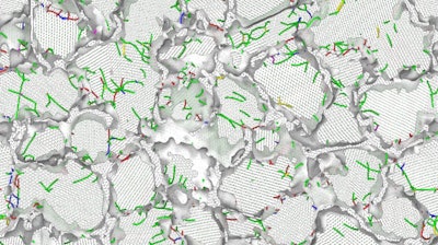 Zhou et al./University of Utah